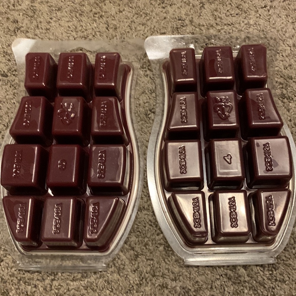 Scentsy Bricks - Picture 2 of 4